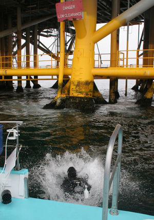 Scuba Diving the Oil Rigs in California