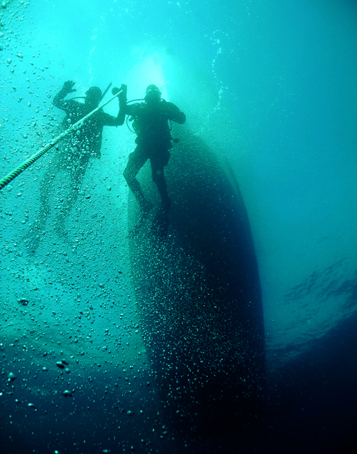 kelp diving