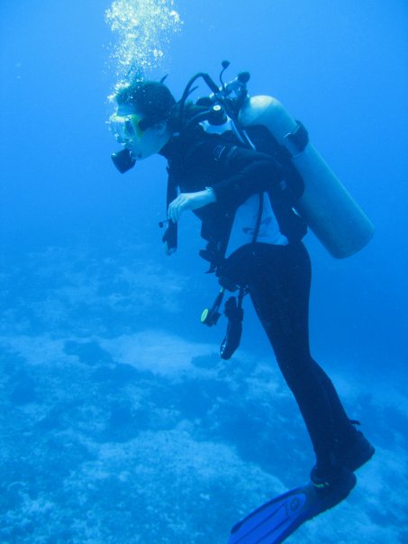 great white shark diving