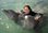 miss scuba dolphin experience