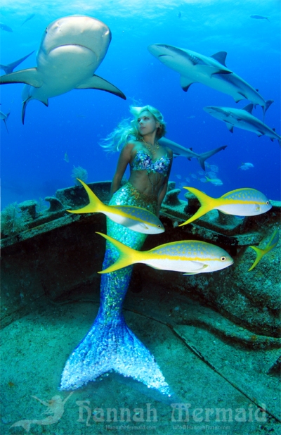 hannah frasier mermaid