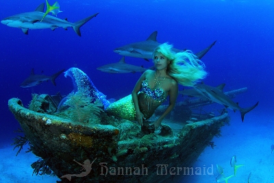 hannah frasier mermaid