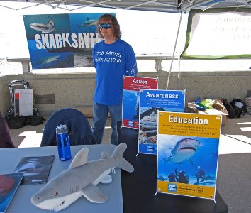 shark savers kevin sullivan