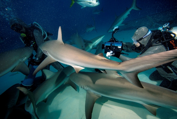 diving with drew and nick lachey